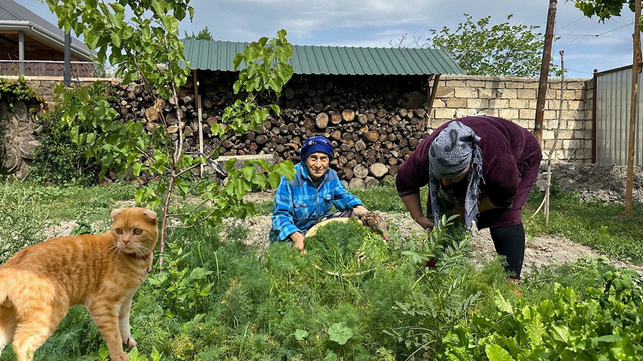 Azerbaijani Traditional Sabzi Pilaf Recipe | Rich Meal with Healthy Herbs Azerbaijani Traditional Sabzi Pilaf Recipe | Rich Meal with Healthy Herbs