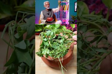 Vaidya Rajesh Kapoor's SECRETS to a Healthy Life! #shorts #easyrecipe