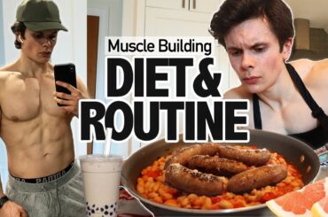 My Diet & Routine To Build Muscle | Grocery Haul + Easy Recipes