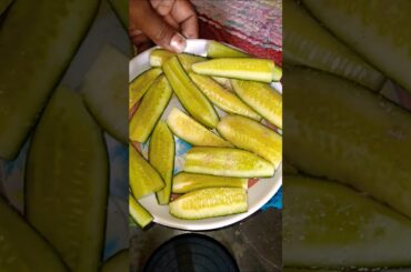 khira Tips|Khira|#recipe#cooking