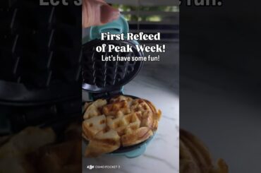 Waffle Fry Breakfast idea! #mealideas #mealprep #prep #healthy #healthyrecipes #ifbb #peakweek