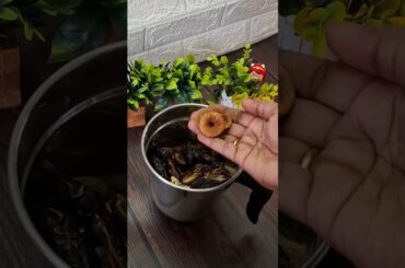 Energy Bar | High Protein Bar | Healthy Snacks Dry Fruits Energy Bar | Recipe By Malvina's-Kitchen