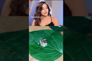 Betel leaf #food #cooking #recipe #france #easyrecipe #healthy #betelleaf #leaf #foodie #healthyfood