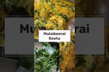 Easy Mulaikeerai Kootu Recipe #healthyrecipes #greensrecipe #vegan #easylunchrecipe #indianrecipes