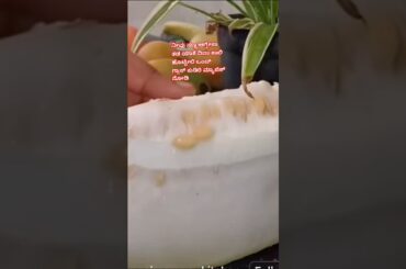 Don’t miss Weight loss drink #shortfeed #food #weightloss drink