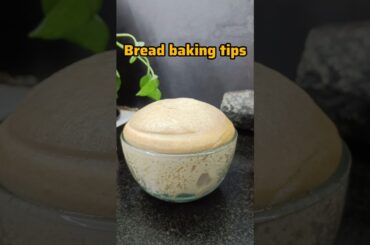 Baking Episode 20: Bread Baking Tips and Homemade Yeast #shortsfeed