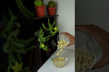 Baked Cashews at Home - Quick & Healthy Snack Recipe