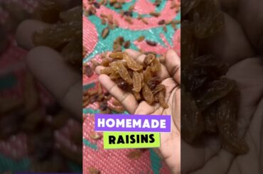 Homemade raisins | How to make raisins | Drying grapes #MalayalamVlog #HealthySnacks