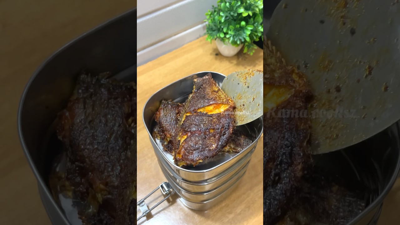 Lunch Recipe : Rice and Rasam | chicken fry and Fish kebab #shortsfeed #lunchbox #lunchideas Lunch Recipe : Rice and Rasam | chicken fry and Fish kebab #shortsfeed #lunchbox #lunchideas