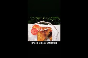 Tomato Cheese Sandwich | Healthy Sandwich | Easy Sandwich Recipes