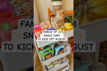 Feeding 11 Kids: Healthy and Simple Snack Ideas