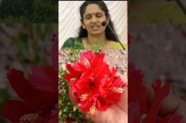 Morning breakfast is very very important #tips #shorts #tamil #healthy #healthtip #trending