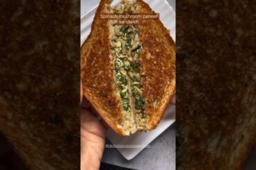 Healthy Sandwich | Sandwich Recipe #healthysandwich #sandwichrecipe #shorts #ytshorts #indianfood