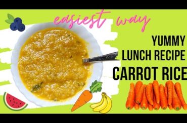8 months baby lunch recipes|Healthy lunch recipes for babies