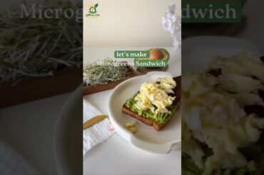 Microgreens Sandwich Recipe: The Ultimate Healthy & Crunchy Lunch! | Krishi Kutir