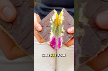 Hacks for a HEALTHY Fruit Sando!