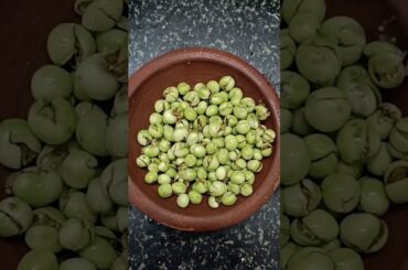 sundakkai vathal kulambu  #cooking #recipe #healthy #tasty #shorts #ytshorts