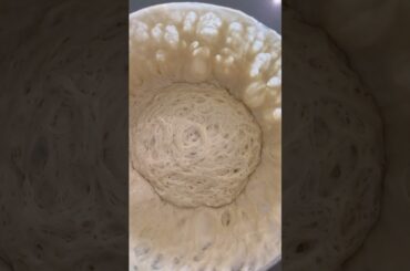 Active, strong and healthy sourdough starter. #sourdoughstarter   #artisanbread #sourdough