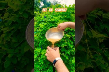 Bel ka Sharbat #fruit #juice #healthy #summer #nature #villagelife #recipe #travel #food #bihar #fun