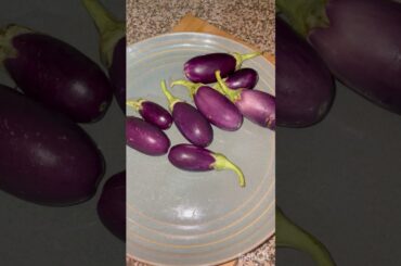 aloo baigan recipe #anjuskitchen #shorts #food #healthy #healthyfood #baigan #tasty #easyrecipe