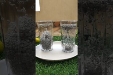 Chia Seeds V/s Sabja Seeds #ytshorts #weightloss #clearskin #trending #drink #youtubeshorts