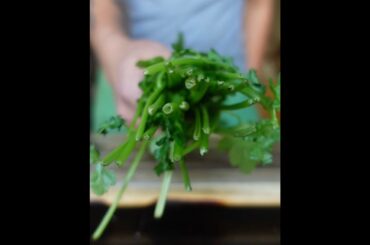 Do THIS with Cilantro and Parsley Stems