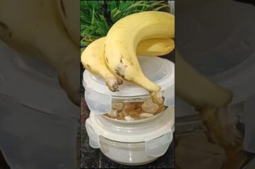 Lunch for my husband #cooking #easyrecipe #trendingshorts #hubbyslunch #lunchbox #tiffin #foodvlog