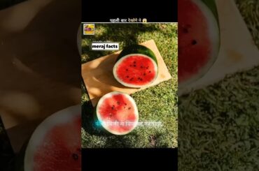 The Exploding Cucumber: Nature's Ultimate Defense