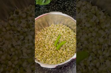[Day6] Healthy Sprouted Moong Bean Recipe | Lunch Box | green moong dal curry #shorts