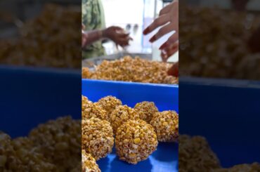 Master the Art of HEALTHY Snacking on Toli Ekadasi with Jonna Pelalu!