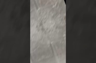 health breakfast foods you should try now #health #healthtips #breakfast #healthfood #shorts #facts