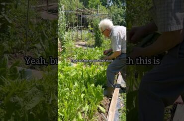 The World's Best Salad by Nonno Pasquale