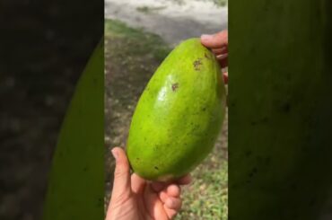 These are the best foods to eat if you on budget #health #healthtips #healthy #food #healthtips #yt