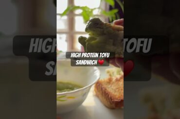 High protein tofu sandwich | Quick & Healthy Snack! #healthysnacks #foodie #healthylifestyle