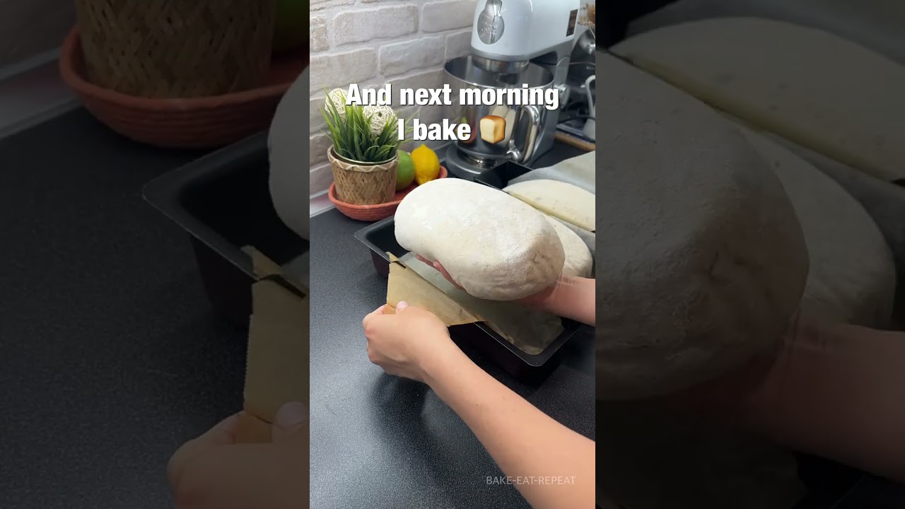 From Flour, Water and Salt to SUPER healthy BREAD, shaping, scoring and baking SOURDOUGH BREAD From Flour, Water and Salt to SUPER healthy BREAD, shaping, scoring and baking SOURDOUGH BREAD