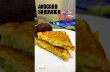 Avocado Sandwich Recipe | Avocado Recipes | Veg Cheese Sandwich Recipe #shortsvideo #shorts #recipe
