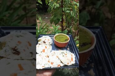 Healthy breakfast recipe #vegtables #idlirecipe #shorts #made #viral