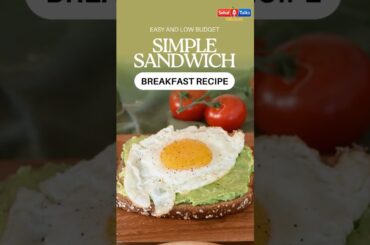 Healthy breakfast recipes | Sandwich recipe | Avocado toast | Sehat Talks With Gazal #shorts
