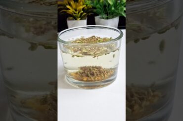 Morning Healthy Drink| Viral Body Cooling Drink Recipe |#Shorts  #YouTubeShorts  #RecipeShorts