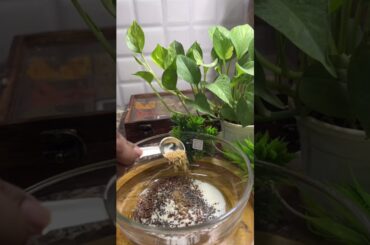 Chia seeds Health Benefits and weight loss recipe By Vaidya Rajesh Kapoor #shorts  #food #recipe