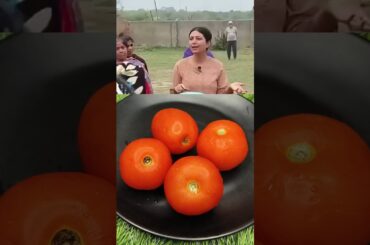 Tomatoes recipe by Dr. Upasana vohra to lose belly fat #bellyfat #ayurved #viral #shorts #fatloss
