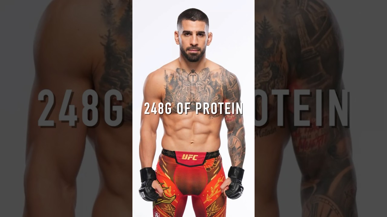 248g PROTEIN DIET 248g PROTEIN DIET