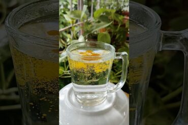 Turmeric Detox Water | #shorts #shortsfeed #youtubeshorts #drink #detox #recipe #viral #trending