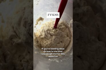 Sourdough Starter Recipes For Big Families