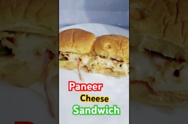 Veggie Paneer Sandwich | Quick & Healthy Snack Recipe