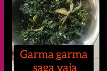 Garma Garam Saga Vaja//Healthy food// Easy Recipe//Low calories//Diet food//Saga Vaja// saga recipe
