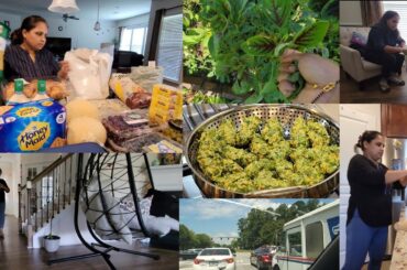 Saturday vlog| Costco shopping| Garden to kitchen Healthy lunch, Patra Muthiya recipes