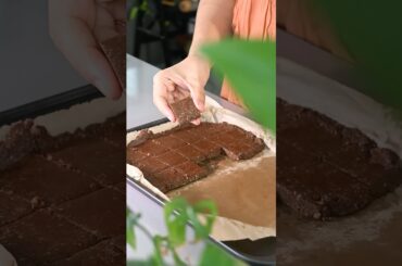 Day 3 : 2.8g Protein Per Bite | Healthy No-Bake Sattu Chocolate Squares | Everyday Healthy