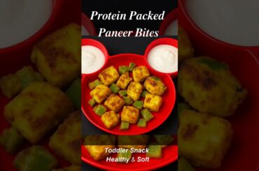 Besan Paneer Bites for Baby | Healthy Snack Recipe for 1 Year Baby #shorts #healthy #toddlers