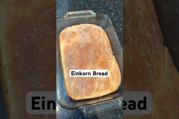 The Healthiest Bread You Have Never Heard of #chef #bread #einkorn